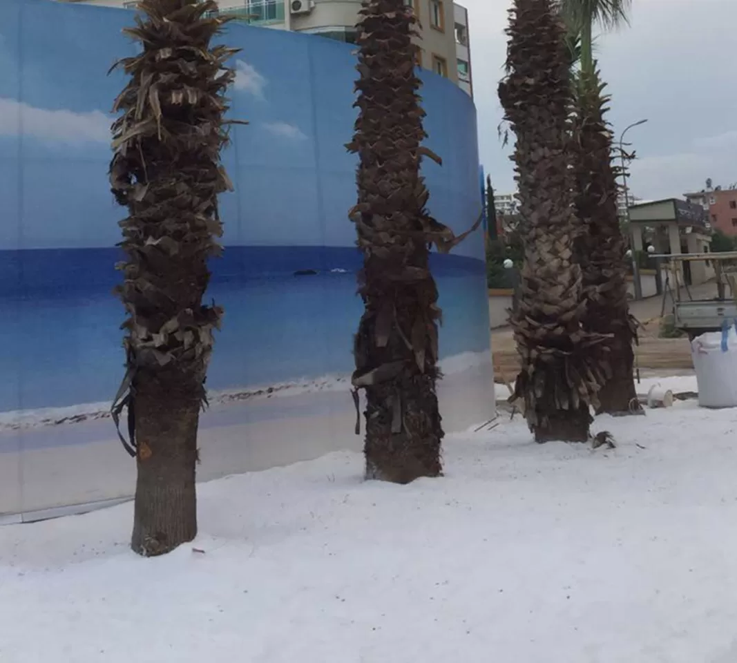 Miami Suni Deniz