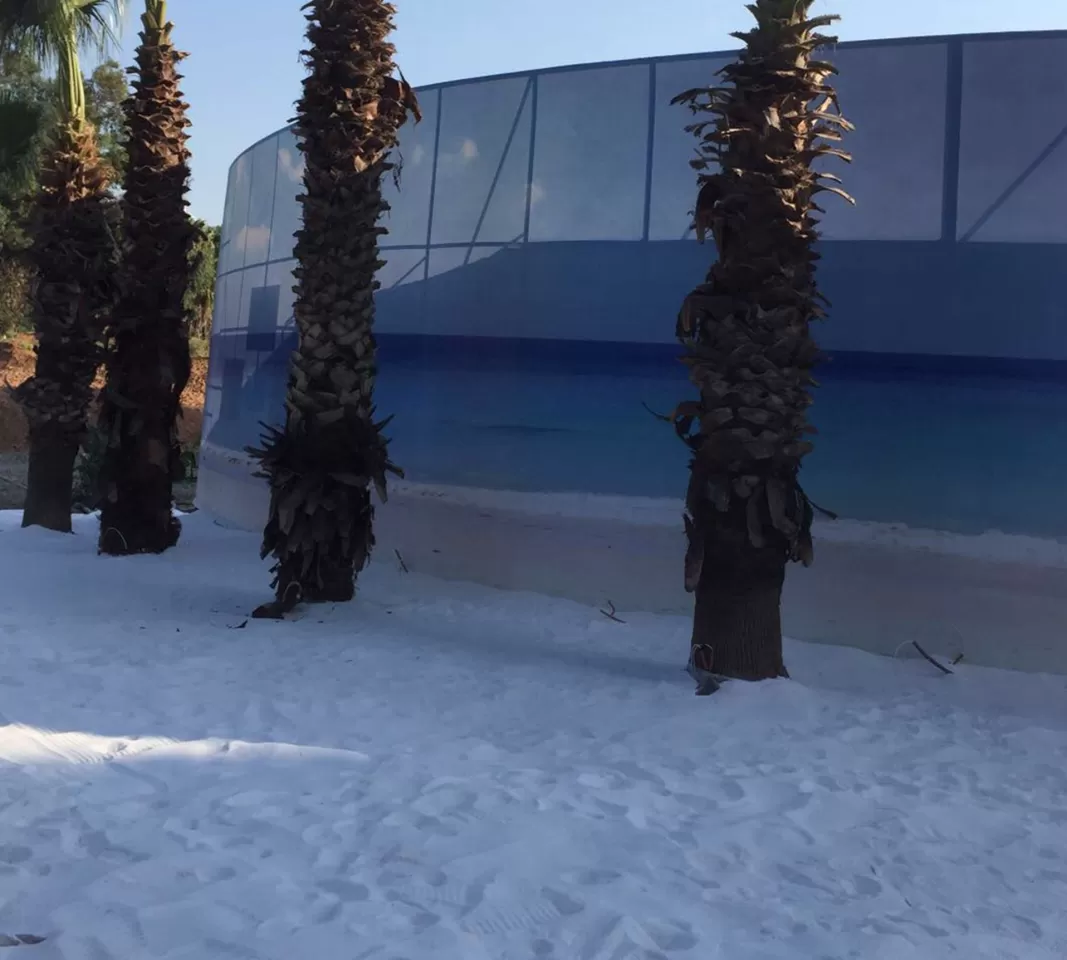 Miami Suni Deniz