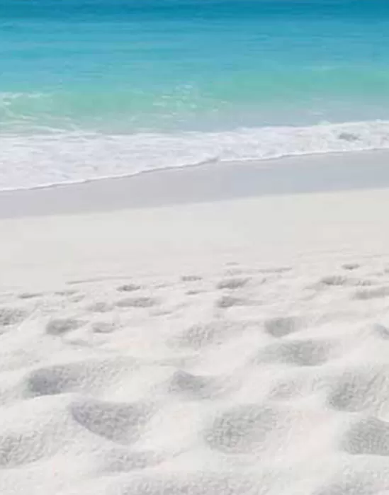 Su Altı Peyzajı ve Akvaryumlar: Kum Canlı Hayatını Nasıl Etkiler?